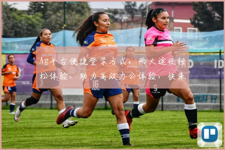 Ag平台便捷登录方式，两大途径轻松体验，助力高效办公体验，快来选择